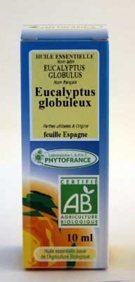 Une huile essentielle d'Eucalyptus: une des huiles essentielles les plus intéressantes