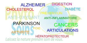 Curcuma: panorama de ses propriétés