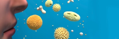 Les pollens sont minuscules et pénètrent facilement dans les voies respiratoires