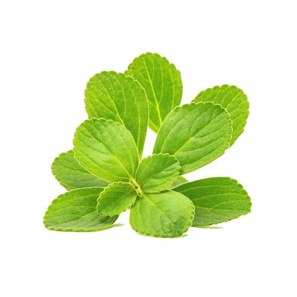 Extrait fluide glycériné miellé de Boldo BIO | phyto-soins