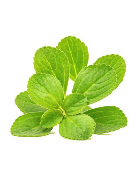 Extrait fluide glycériné miellé de Boldo BIO | phyto-soins
