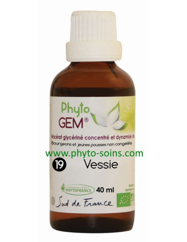 phyto'gem 19 vessie laboratoire phytofrance | phyto-soins