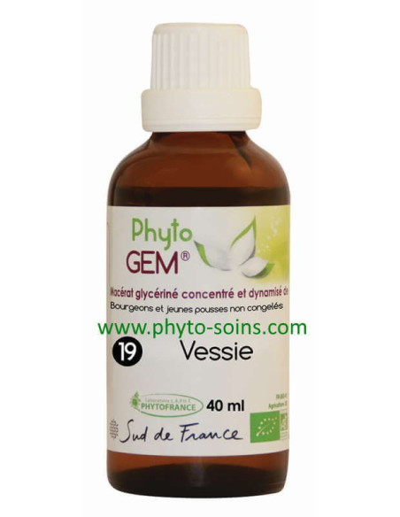 phyto'gem 19 vessie laboratoire phytofrance | phyto-soins
