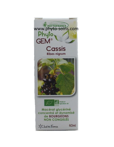 Macérat glycériné concentré de Cassis BIO