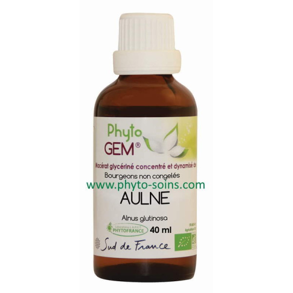 Bouteille macérat glycériné de bourgeons d'Aulne