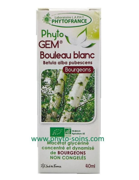 Phyto'gem Bourgeon de Bouleau blanc