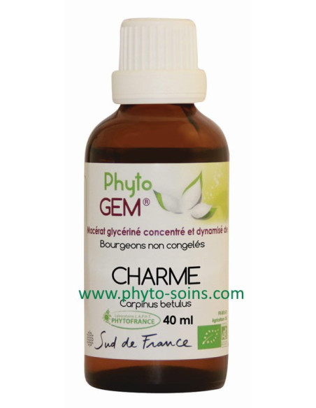Macérat glycériné concentré de Charme BIO - Phytofrance