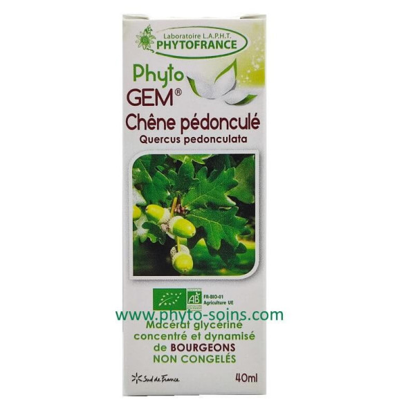 Macérat glycériné concentré de Chêne BIO -...
