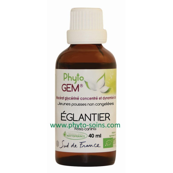 Macérat glycériné concentré de Églantier BIO - Phytofrance par phyto-soins