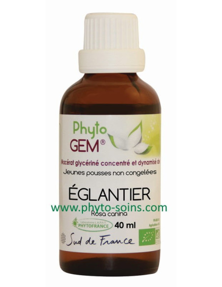 Macérat glycériné concentré de Églantier BIO - Phytofrance par phyto-soins