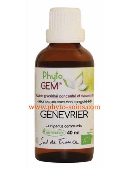 Macérat glycériné concentré de Genévrier BIO