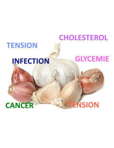 Propriétés de l'Ail