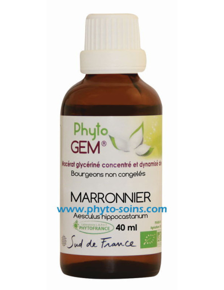 Macérat glycériné de Marronnier