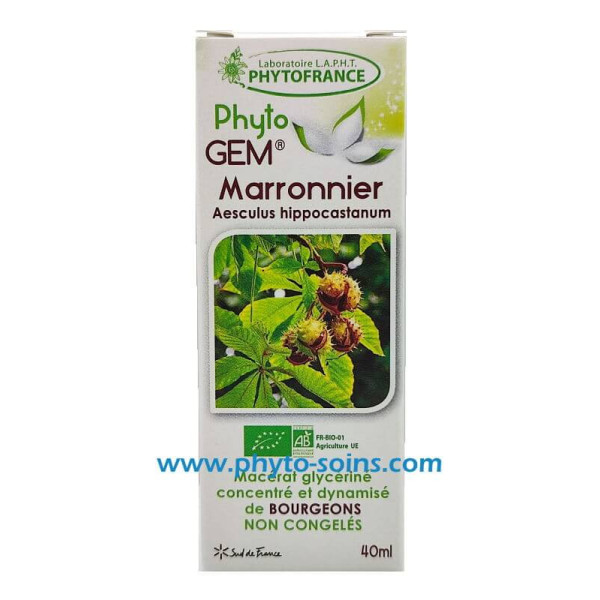 Macérat glycériné concentré de Marronnier BIO -...