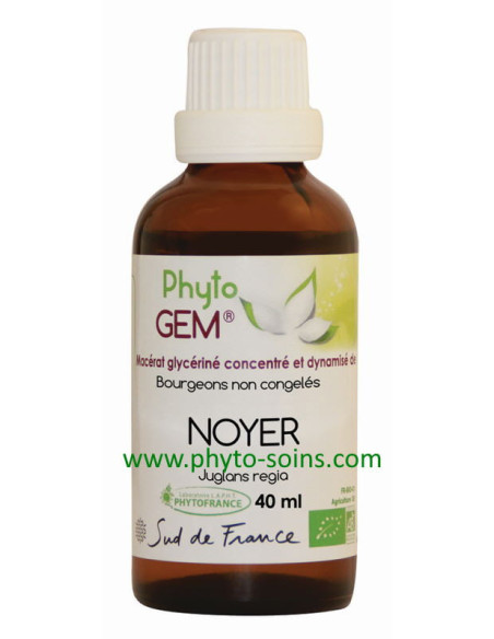 Macérat glycériné concentré de Noyer BIO