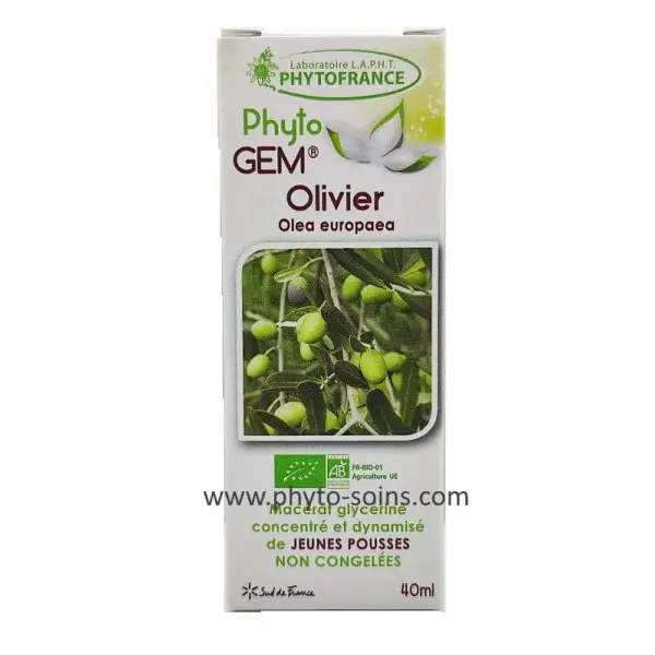 Bourgeons d'olivier BIO