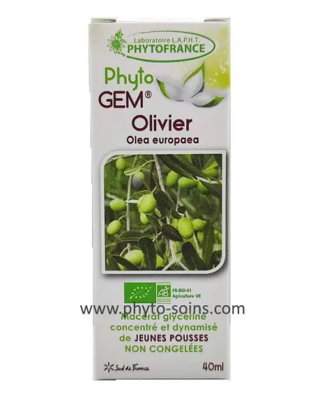 Bourgeons d'olivier BIO