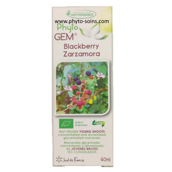 Macérat glycériné concentré de Ronce BIO -...