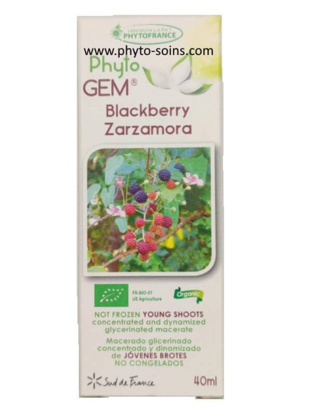 Macérat glycériné concentré de Ronce BIO - Phytofrance
