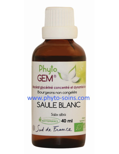 Macérat glycériné concentré de Saule blanc BIO