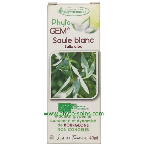 Macérat glycériné de Saule blanc