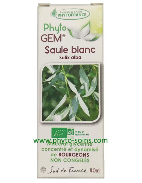Macérat glycériné de Saule blanc