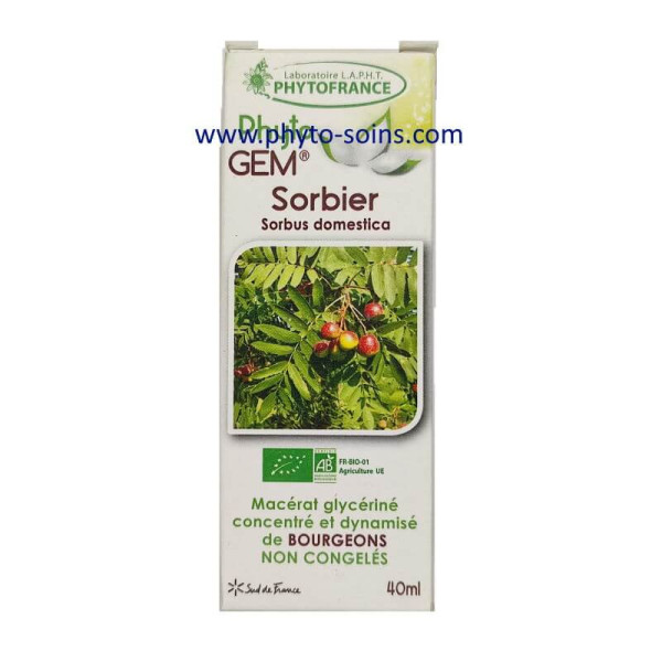 Bourgeons de Sorbier BIO