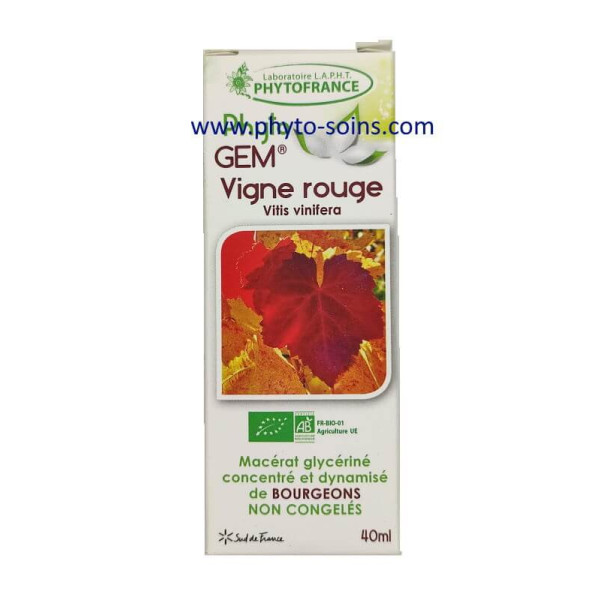 Bourgeons de Vigne rouge BIO