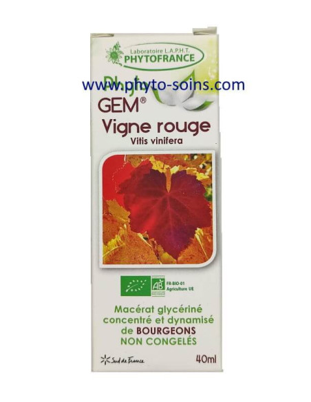 Bourgeons de Vigne rouge BIO