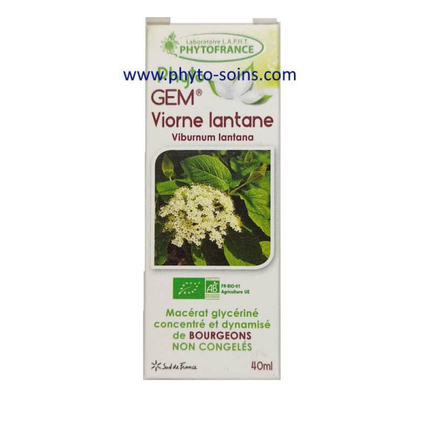 Bourgeons de Viorne Lantane BIO