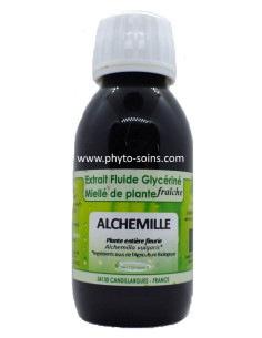 Alchémille BIO (tisane, gélules ou extrait liquide) Phytofrance | phyto-soins