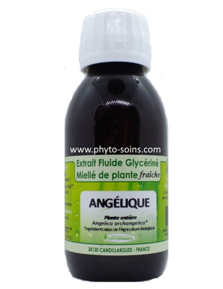 Angélique officinale BIO (tisane ou extrait liquide) Phytofrance | phyto-soins