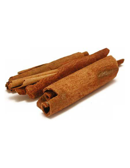 Cannelle de Ceylan BIO (extrait liquide ou tisane)