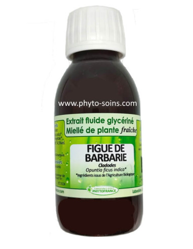 Extrait fluide glycériné miellé de Figuier de Barbarie BIO et fraiche