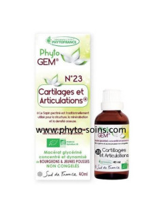 Phyto'gem BIO n°23 cartilages et articulations phytofrance phyto-soins