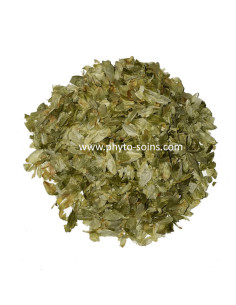 Sachet de cônes de Houblon BIO ou tradi 50g - Phytofrance