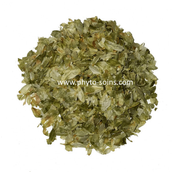 Sachet de cônes de Houblon BIO ou tradi 50g -...