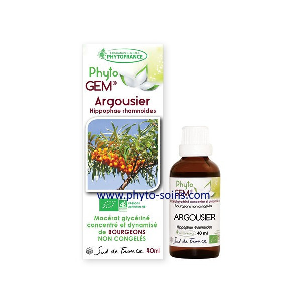 Macérat glycériné concentré d'Argousier BIO