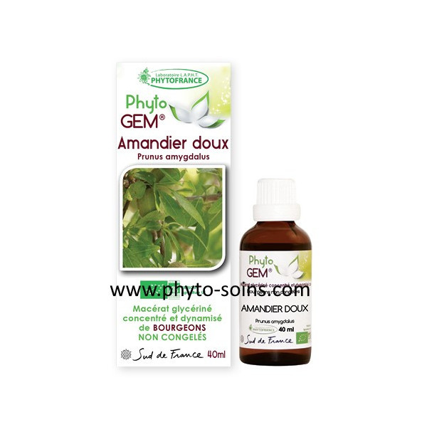 Macérat glycériné concentré d'Amandier doux BIO