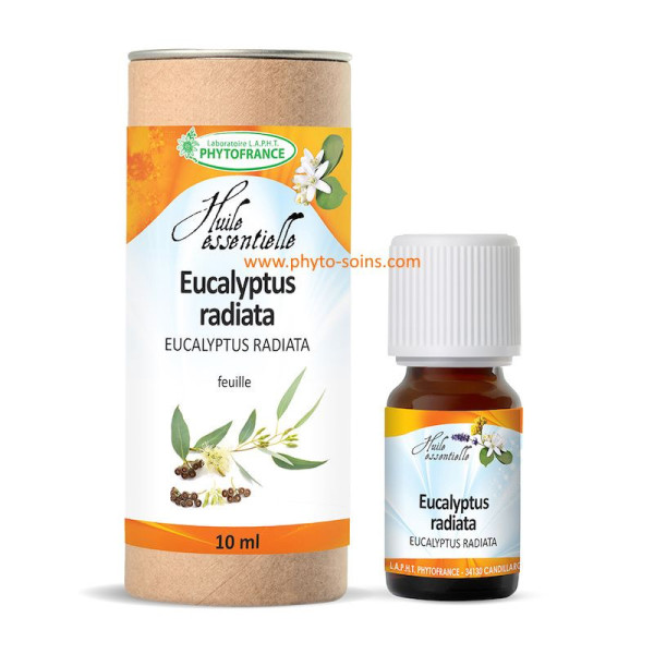 Huile essentielle d'Eucalyptus Radiata ou officinale BIO, pure et naturelle phytofrance par phyto-soins