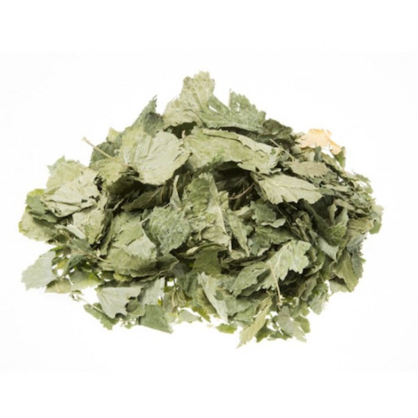 Sachet de feuille de Cassis BIO pour tisane 50g phytofrance par phyto-soins