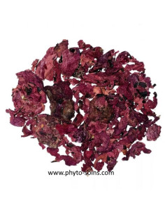 Sachet de pétales entier de Coquelicot BIO pour tisane 50g phytofrance par phyto-soins