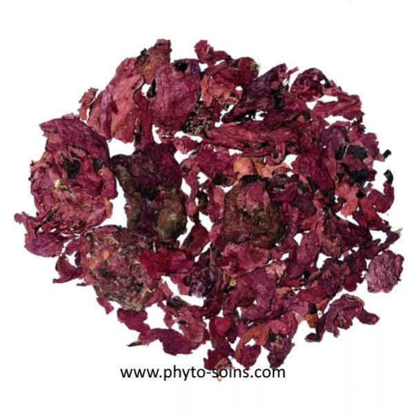 Sachet de pétales entier de Coquelicot BIO pour tisane 50g phytofrance par phyto-soins