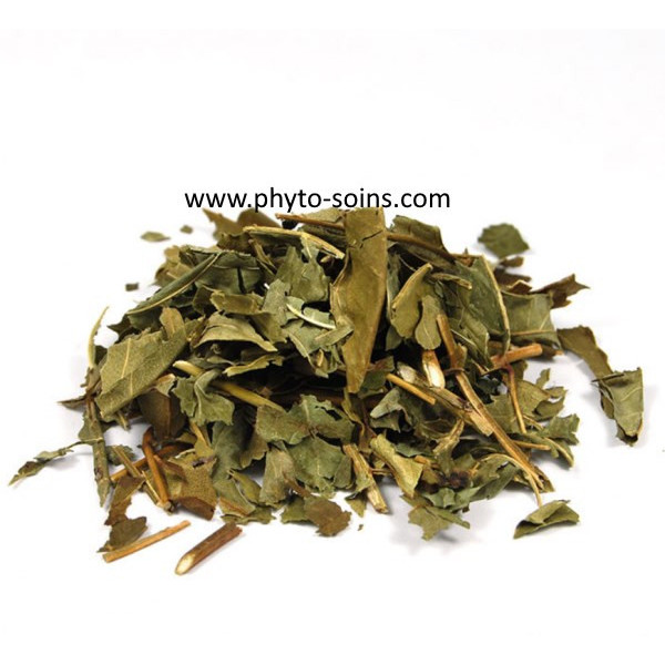 Sachet de Frêne BIO feuilles coupées pour tisane phytofrance par phyto-soins