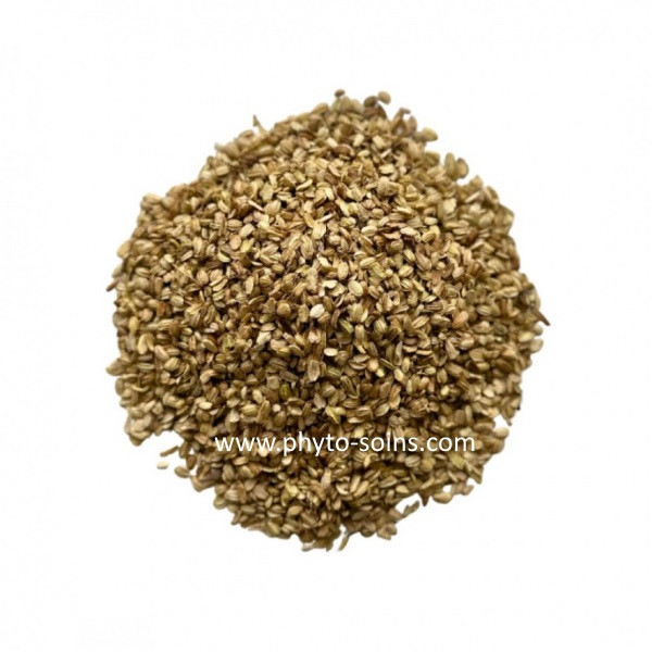 Tisane d'Angélique officinale BIO 100g phytofrance par phyto-soins