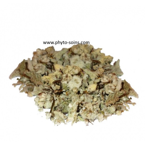 Sachet de Tisane de sommités coupées de Bouillon blanc BIO 50g phytofrance par phyto-soins