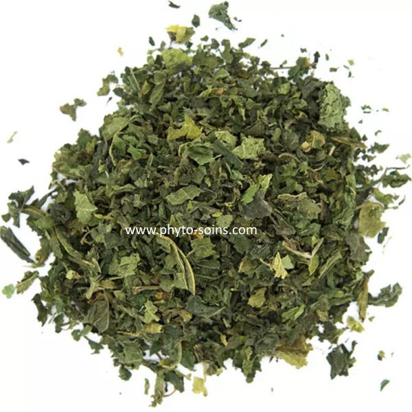Sachet d'Ortie piquante partie aérienne BIO 50g phytofrance par phyto-soins