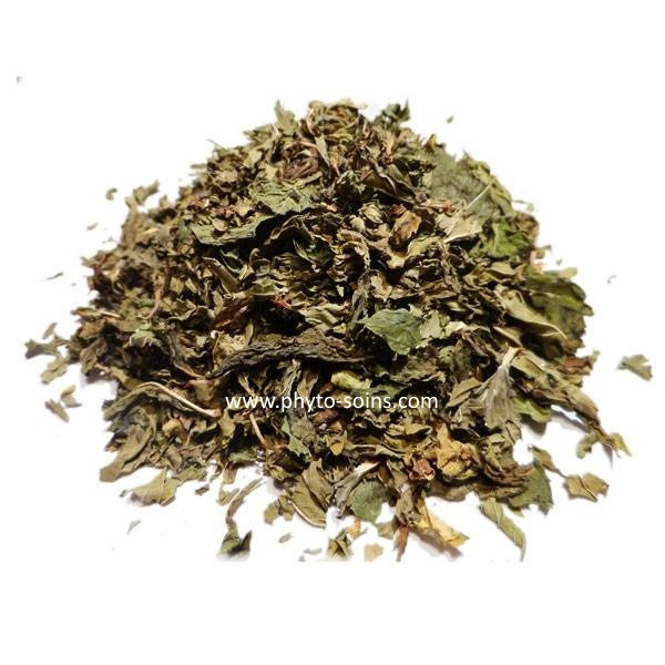 Sachet de Menthe Nahnah (douce) BIO 30g phytofrance par phyto-soins