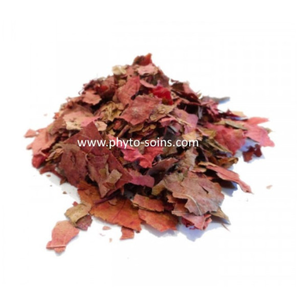 Sachet de Vigne rouge BIO (vitis vinifera) 50g pour tisane phytofrance par phyto-soins