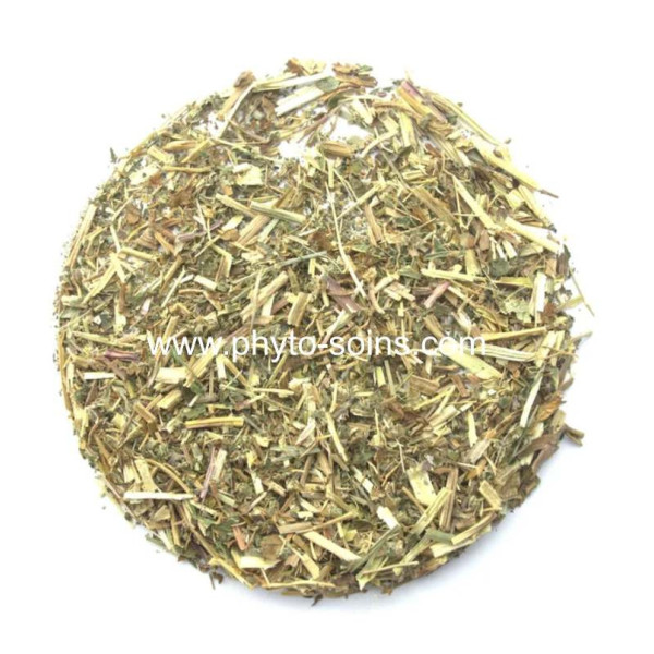Sachet de Reine des prés BIO (Spirea ulmaria) 100g pour tisane phytofrance par phyto-soins